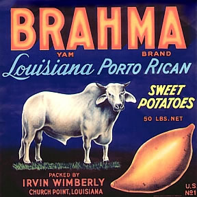 fruit crate label louisiana  yams