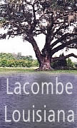 LACOMBE LOUISIANA